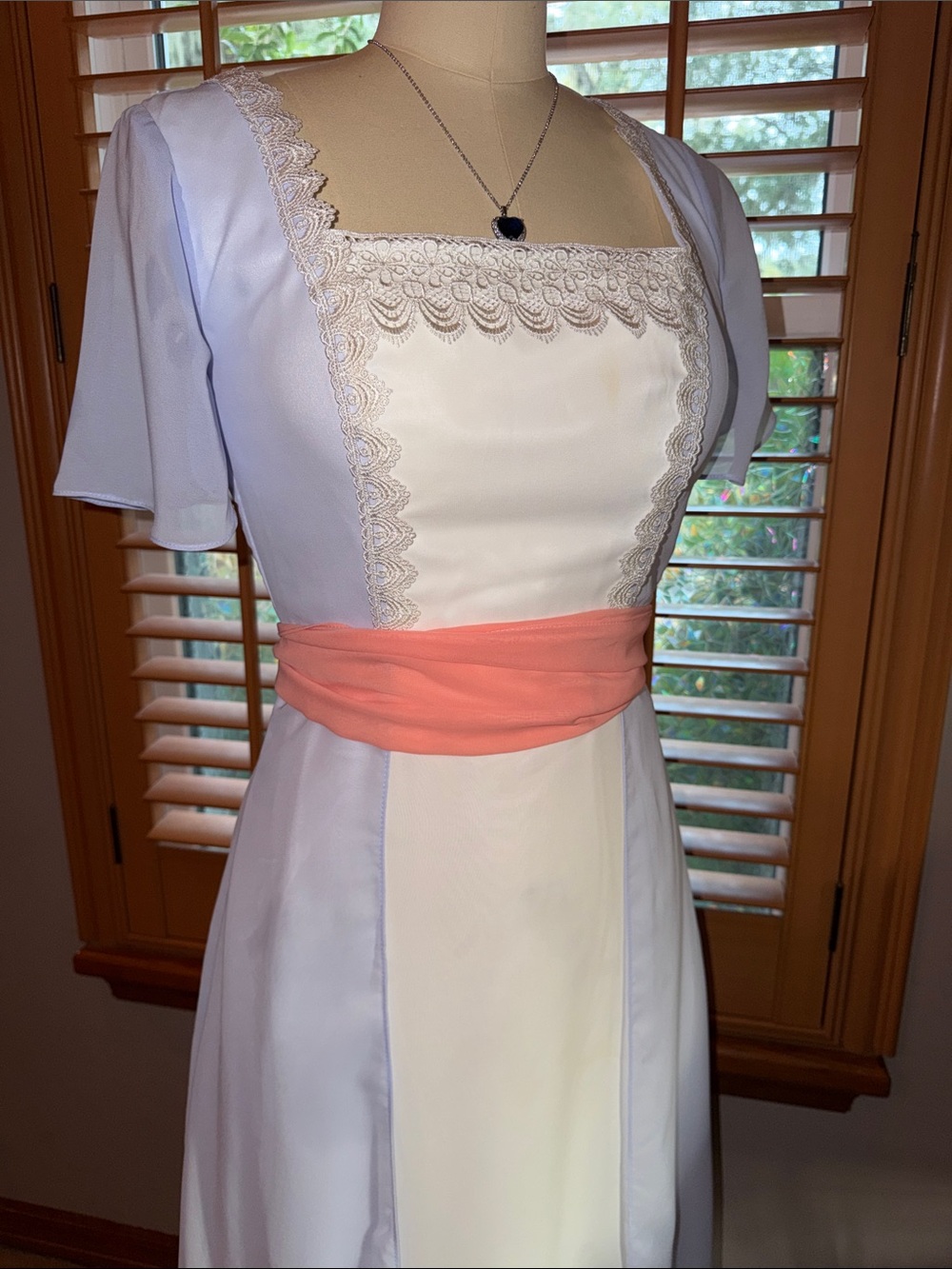 Rose from Titanic Dress Cosplay